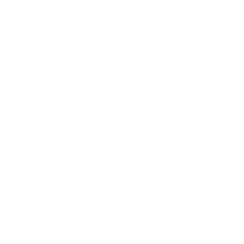 Nautic Group Logo